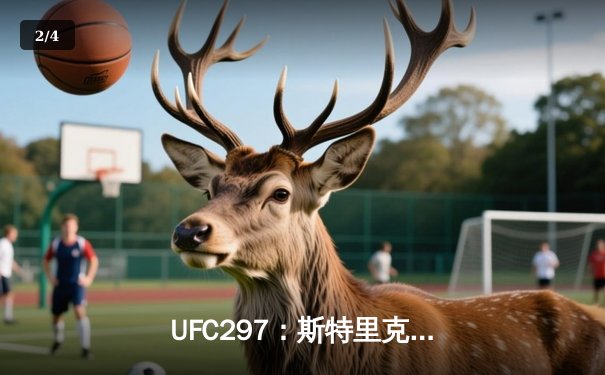  UFC297：斯特里克land争议卫冕失利，杜普莱西斯新王加冕 - 2