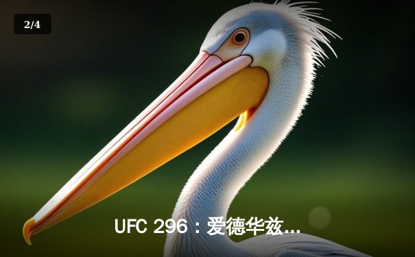 UFC 296：爱德华兹成功卫冕冠军腰带，普瓦里尔上演逆转KO - 2
